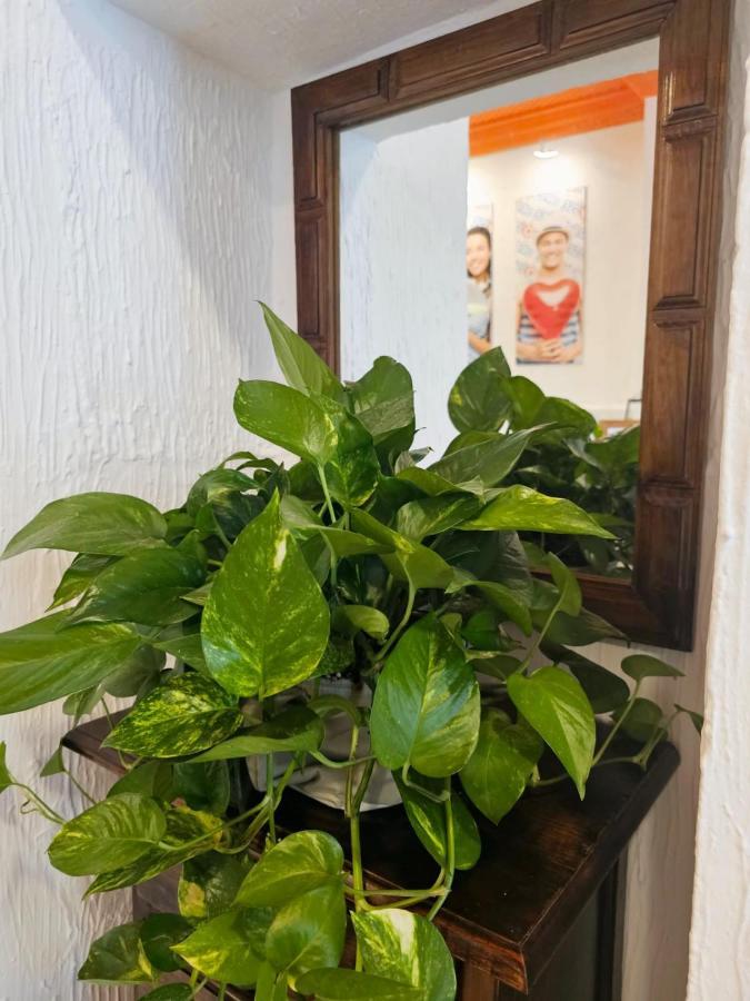 Arc House Granada Hotel Екстериор снимка